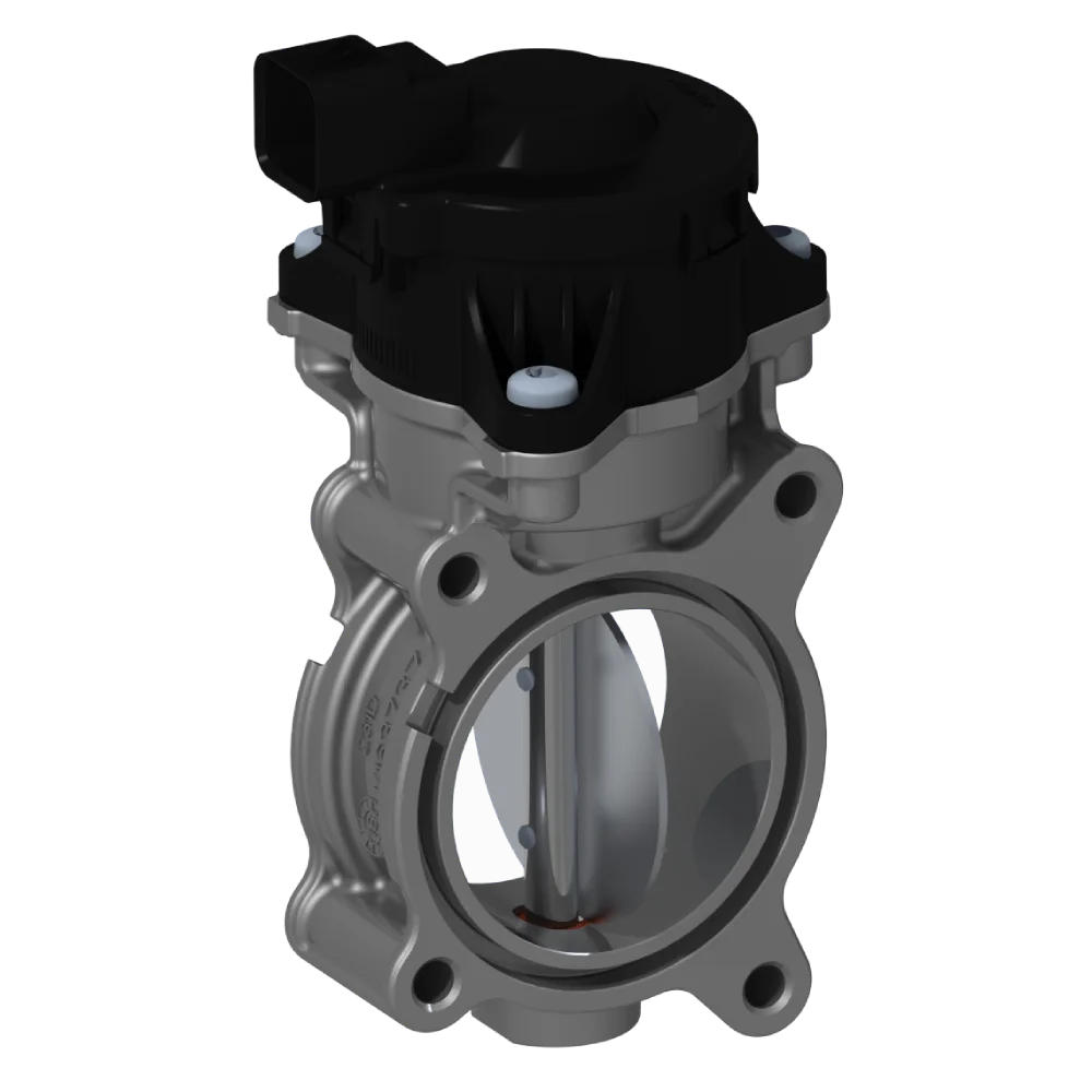 Intake Throttle Valves